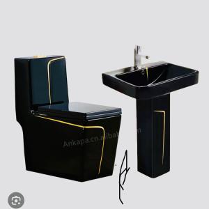 Chaise +lavabo GM noir complete